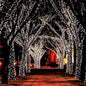 17-Meter String of 100 Led Solar-Powered Fairy Lights